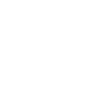 n1